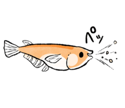 Various Medaka of stickers sticker #12200621