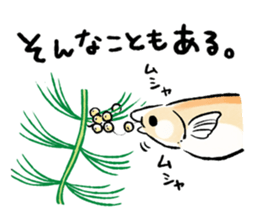 Various Medaka of stickers sticker #12200625