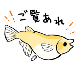 Various Medaka of stickers sticker #12200627