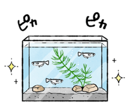 Various Medaka of stickers sticker #12200634