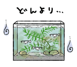 Various Medaka of stickers sticker #12200635