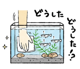 Various Medaka of stickers sticker #12200636