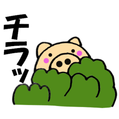 pig that can be uaed2