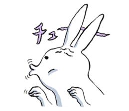 A days of animal sticker #12202326