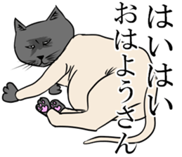 Smooth cat sticker #12203878