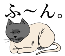 Smooth cat sticker #12203888