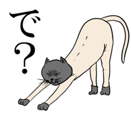 Smooth cat sticker #12203889