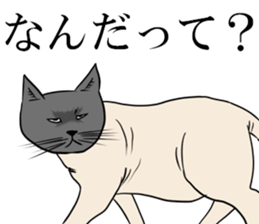 Smooth cat sticker #12203891