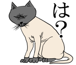 Smooth cat sticker #12203893