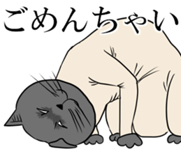 Smooth cat sticker #12203899