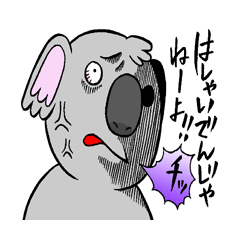 koala from all directions