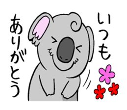 koala from all directions sticker #12205008