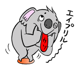 koala from all directions sticker #12205014