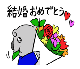 koala from all directions sticker #12205015