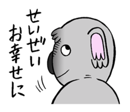 koala from all directions sticker #12205017