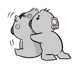 koala from all directions sticker #12205027