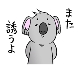 koala from all directions sticker #12205028