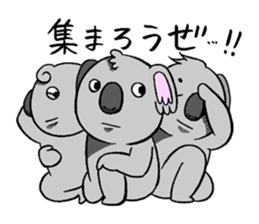 koala from all directions sticker #12205029