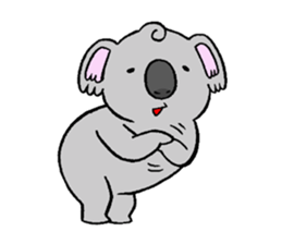 koala from all directions sticker #12205037