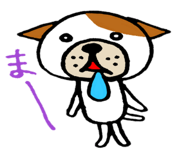 Ajio sticker #12205170