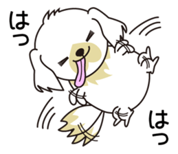 White dog and black dog.3 sticker #12206622