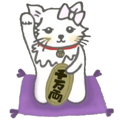 Well used! White cat sticker