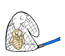 Life of Cordyceps and cicada sticker #12209573