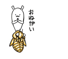Life of Cordyceps and cicada sticker #12209584