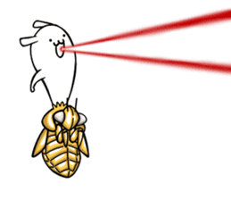 Life of Cordyceps and cicada sticker #12209586