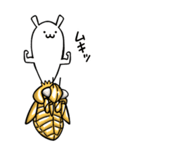 Life of Cordyceps and cicada sticker #12209587