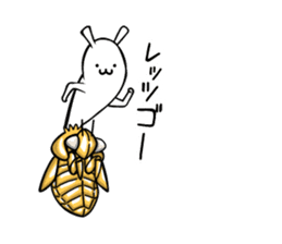 Life of Cordyceps and cicada sticker #12209589