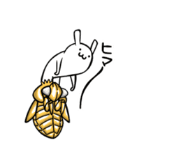 Life of Cordyceps and cicada sticker #12209592