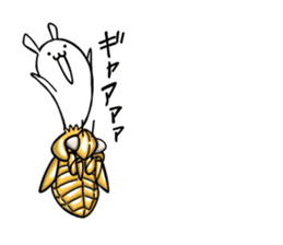 Life of Cordyceps and cicada sticker #12209593