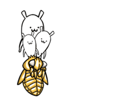 Life of Cordyceps and cicada sticker #12209595