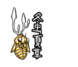 Life of Cordyceps and cicada sticker #12209597