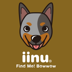 iinu - Australian Cattle Dog