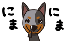 iinu - Australian Cattle Dog sticker #12209903