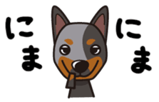 iinu - Australian Cattle Dog sticker #12209903