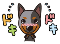 iinu - Australian Cattle Dog sticker #12209906