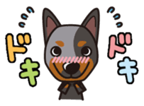 iinu - Australian Cattle Dog sticker #12209906