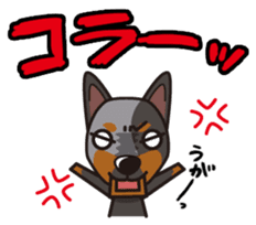 iinu - Australian Cattle Dog sticker #12209909