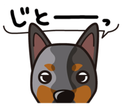 iinu - Australian Cattle Dog sticker #12209910