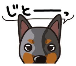 iinu - Australian Cattle Dog sticker #12209910