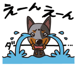 iinu - Australian Cattle Dog sticker #12209919