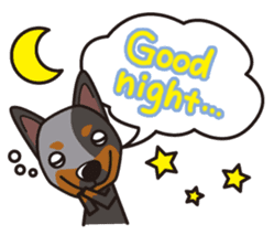 iinu - Australian Cattle Dog sticker #12209925