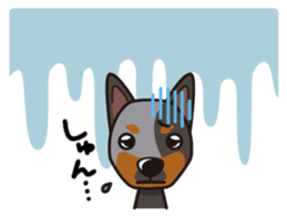 iinu - Australian Cattle Dog sticker #12209929