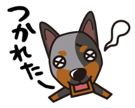 iinu - Australian Cattle Dog sticker #12209930
