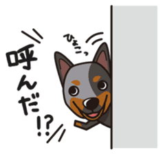 iinu - Australian Cattle Dog sticker #12209933