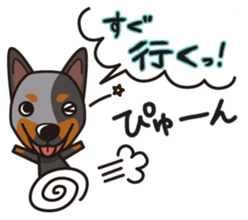 iinu - Australian Cattle Dog sticker #12209934