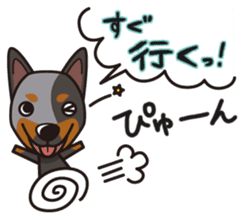 iinu - Australian Cattle Dog sticker #12209934